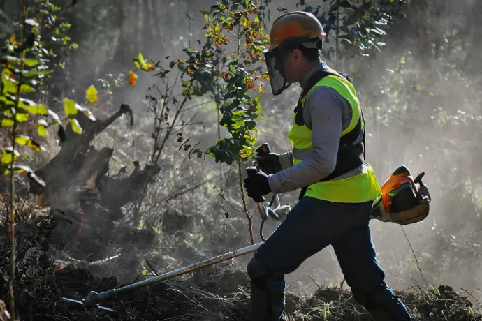 Bush safe technician clearing undergrowth for asset protection zone in Shoalhaven
